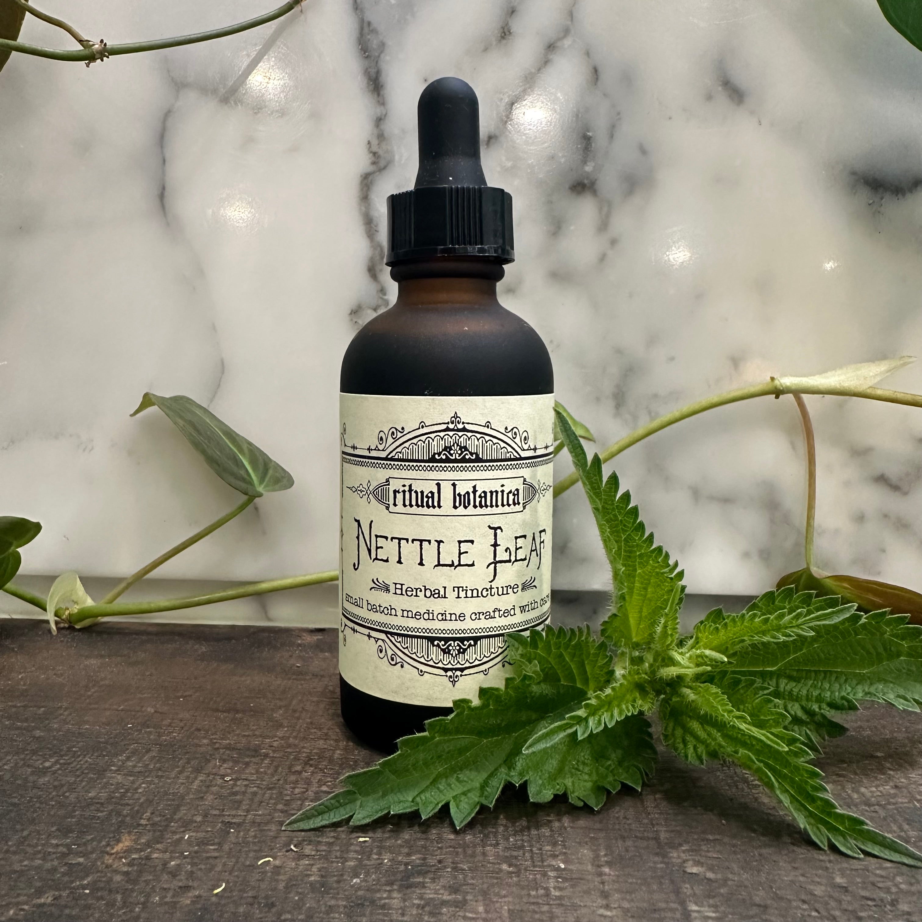 Fresh Nettle leaf // Glycerine