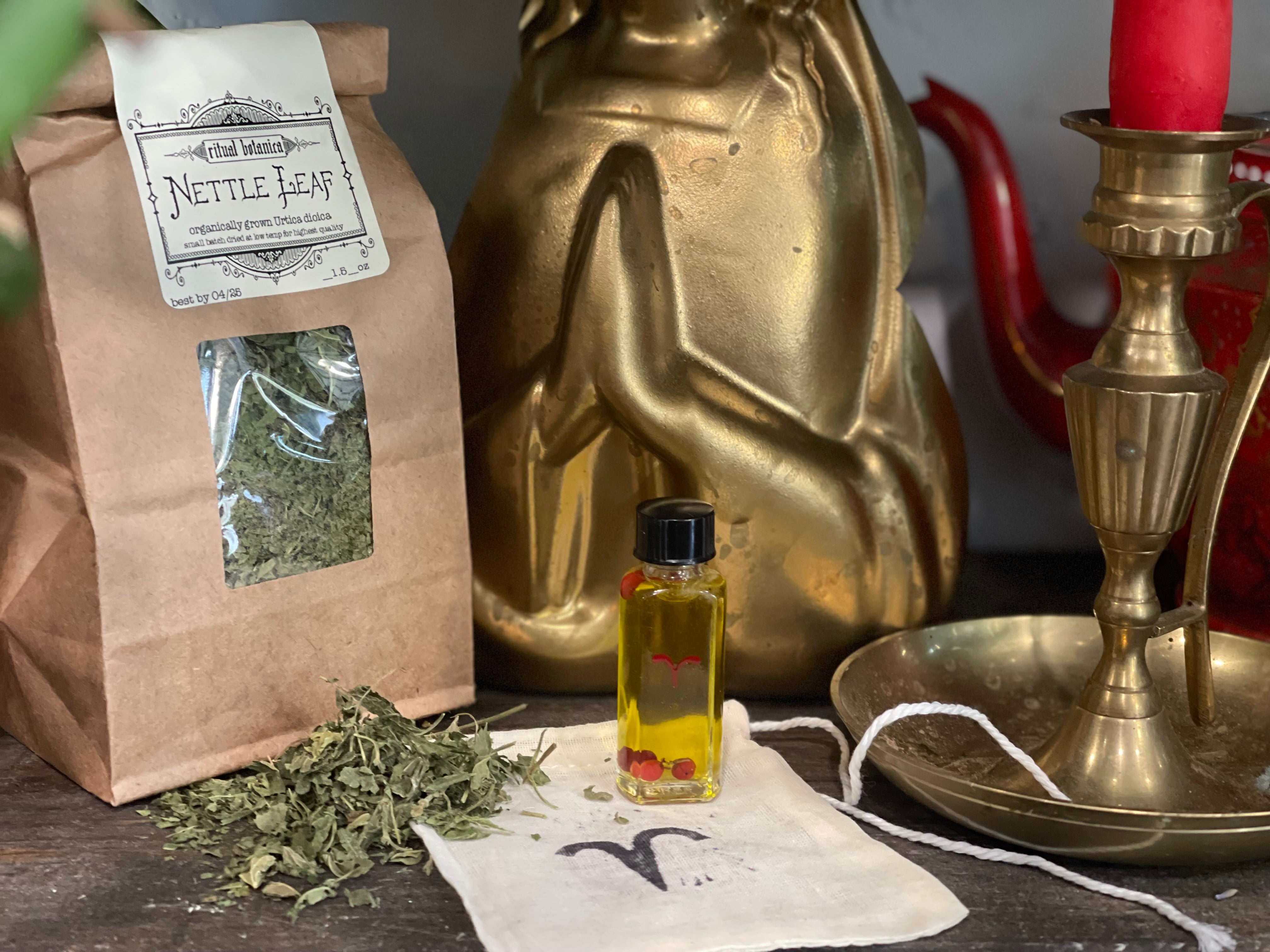 Wheel of the Zodiac // Integrated Astrology Online Series