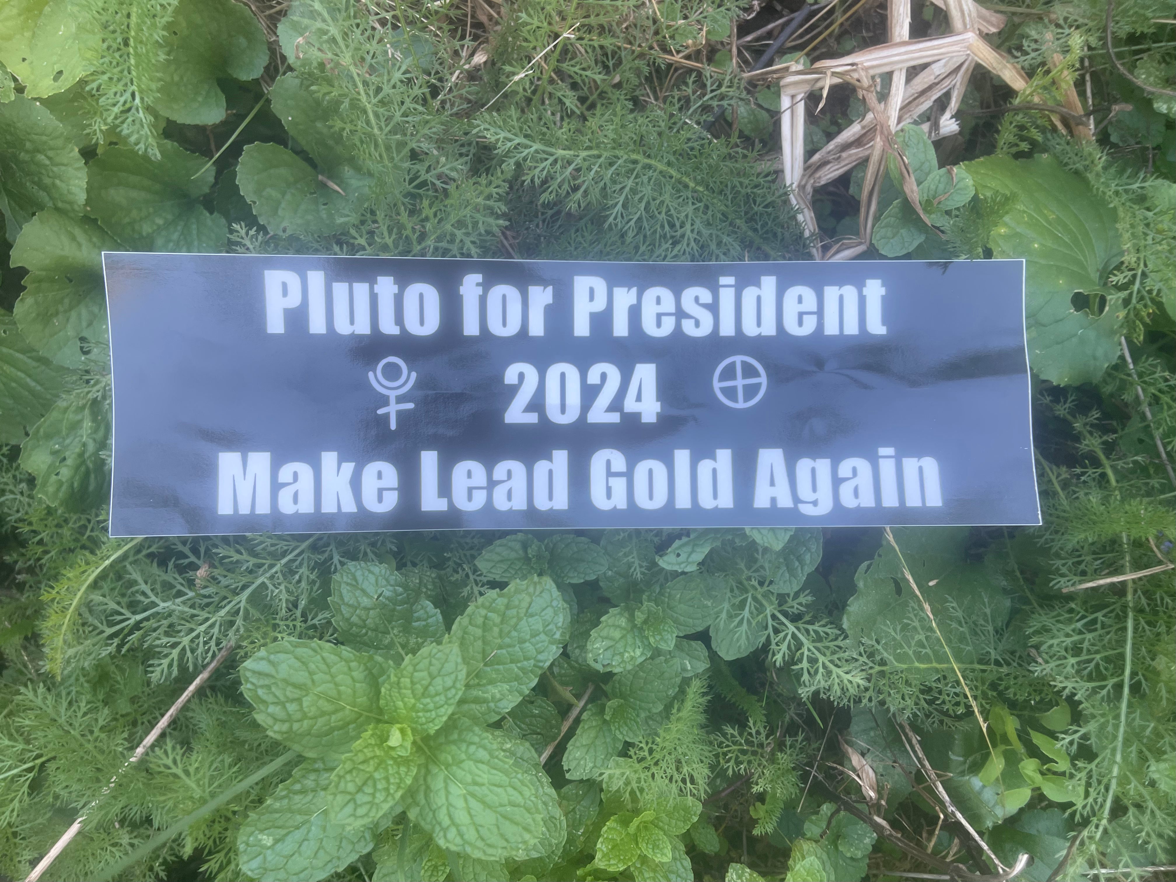 Pluto for Prez bumper sticker