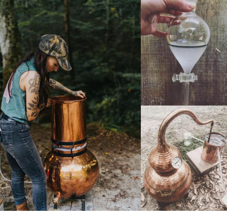 The Magical of Botanical Distillation // Asheville Workshop