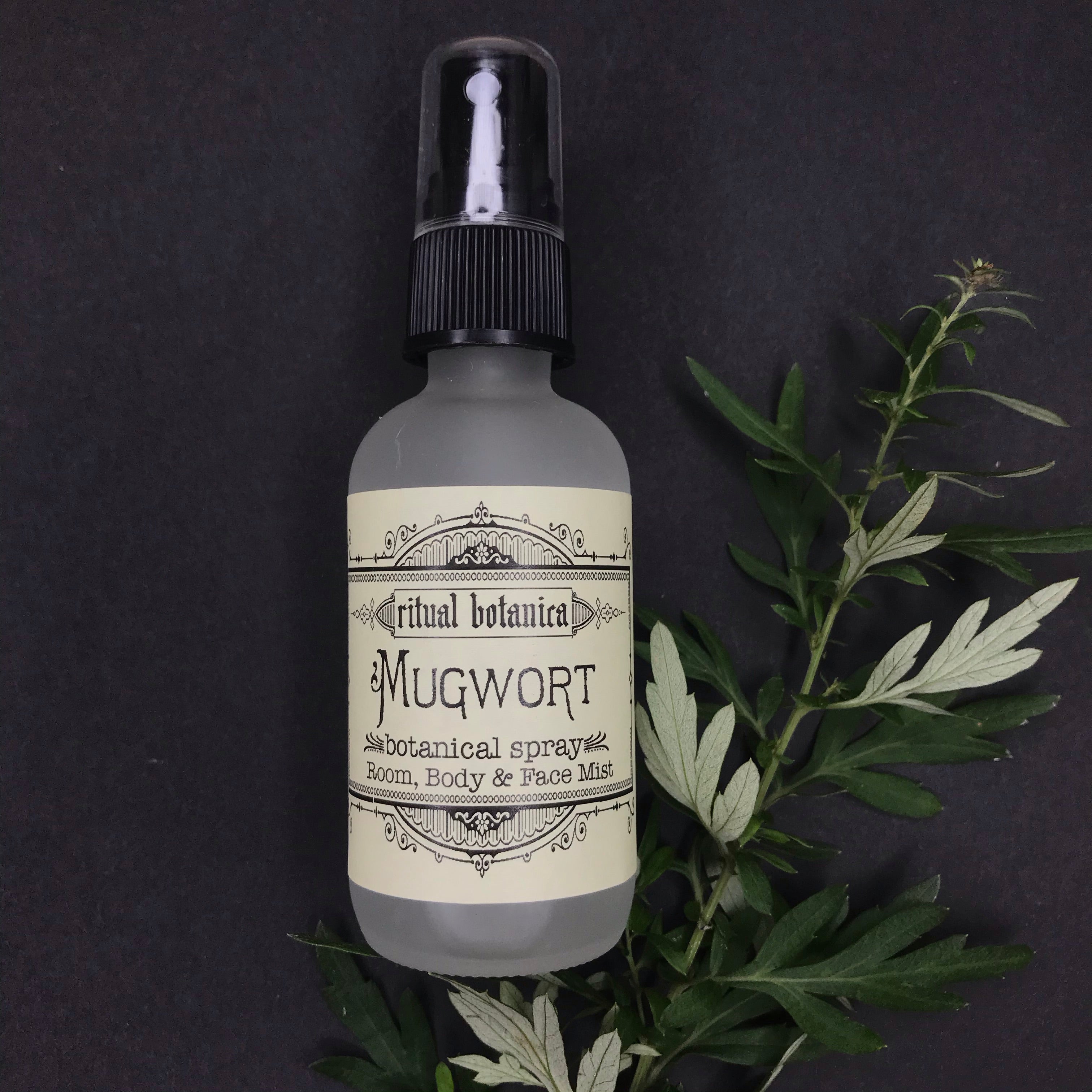 Mugwort // dream hydrosol