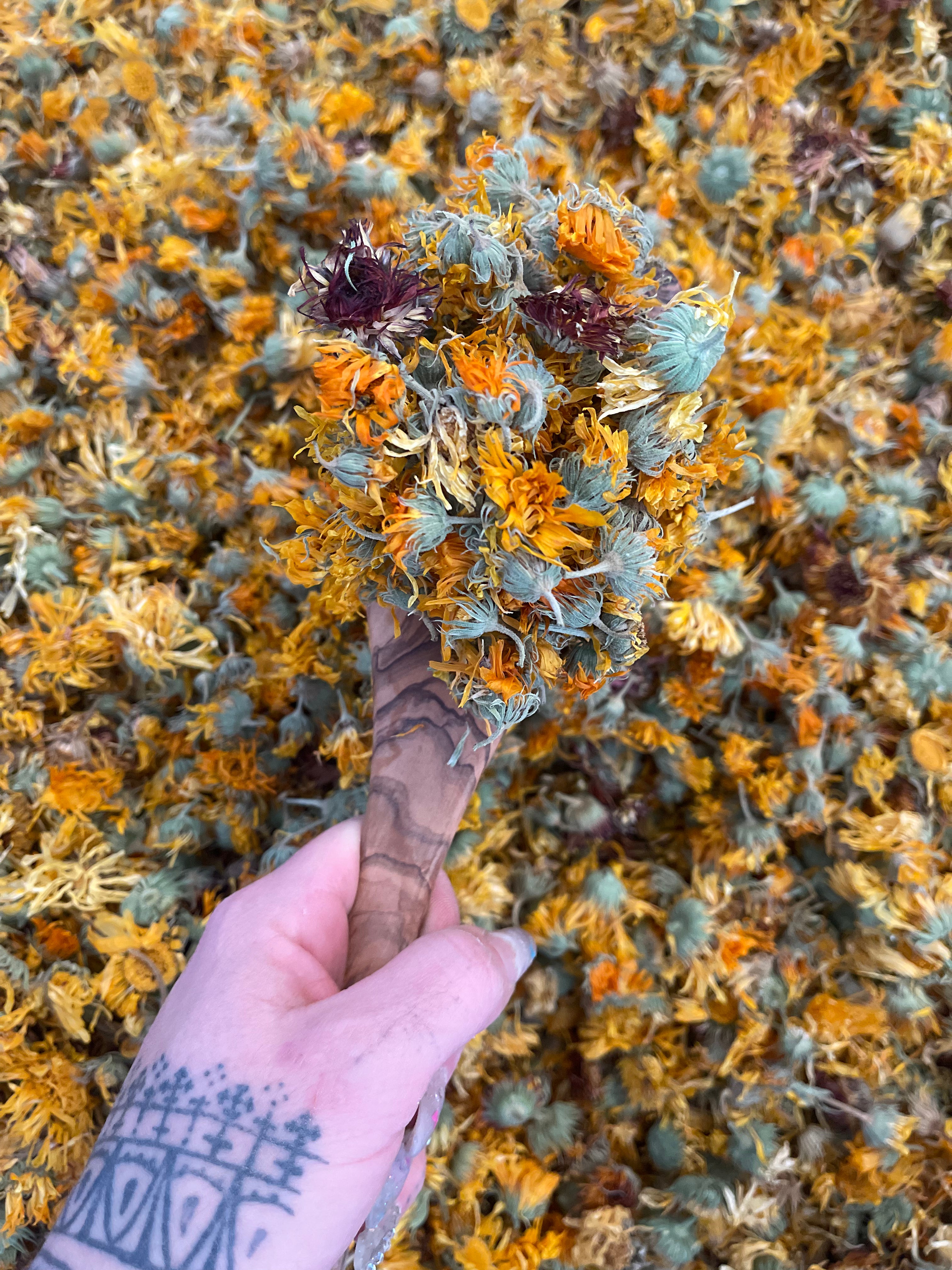 Calendula // dried herb