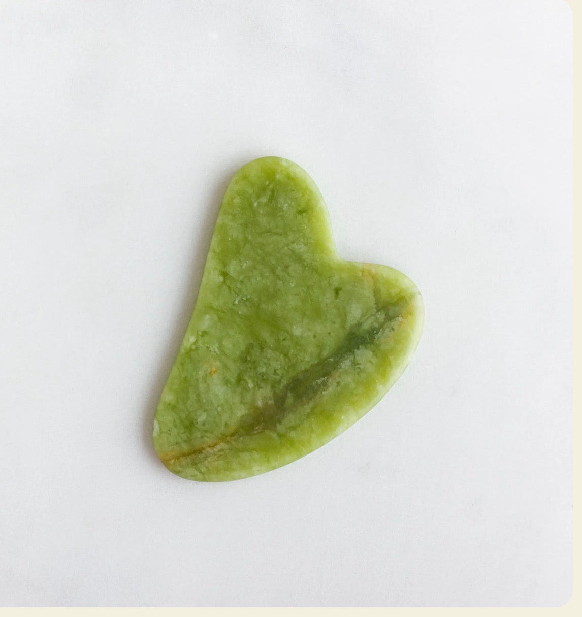 Bee Venom Facial Moisturizer for Skin Tone & Elasticity