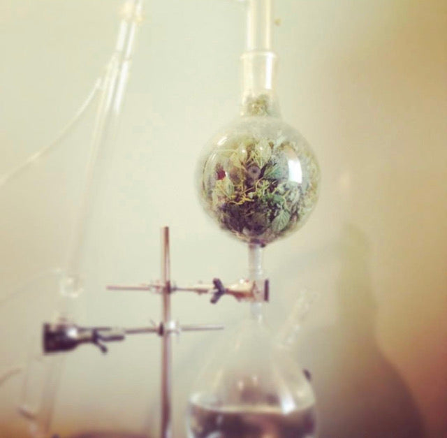 Small-Scale Plant Distillation & the Esoteric Stages