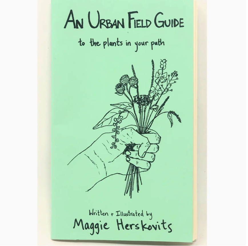 An Urban Field Guide