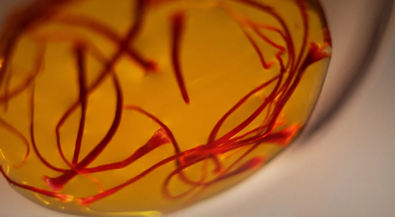 Saffron // Spagyric Tincture