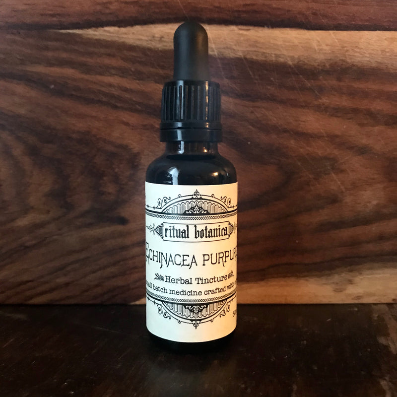 Echinacea purpurea // tincture