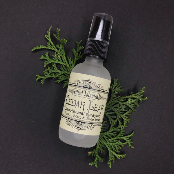 Cedar // grounding hydrosol