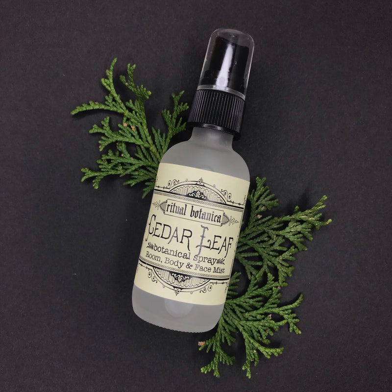 Cedar // grounding hydrosol