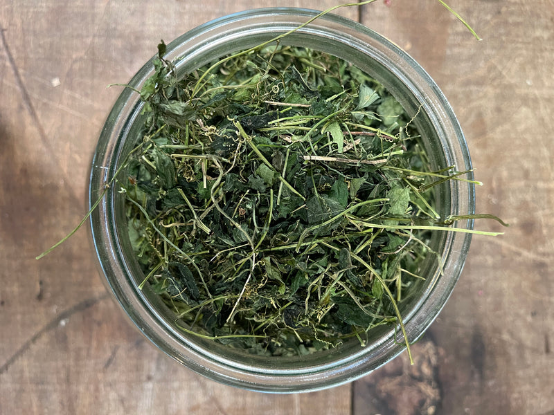 Jiaogulan // dried herb