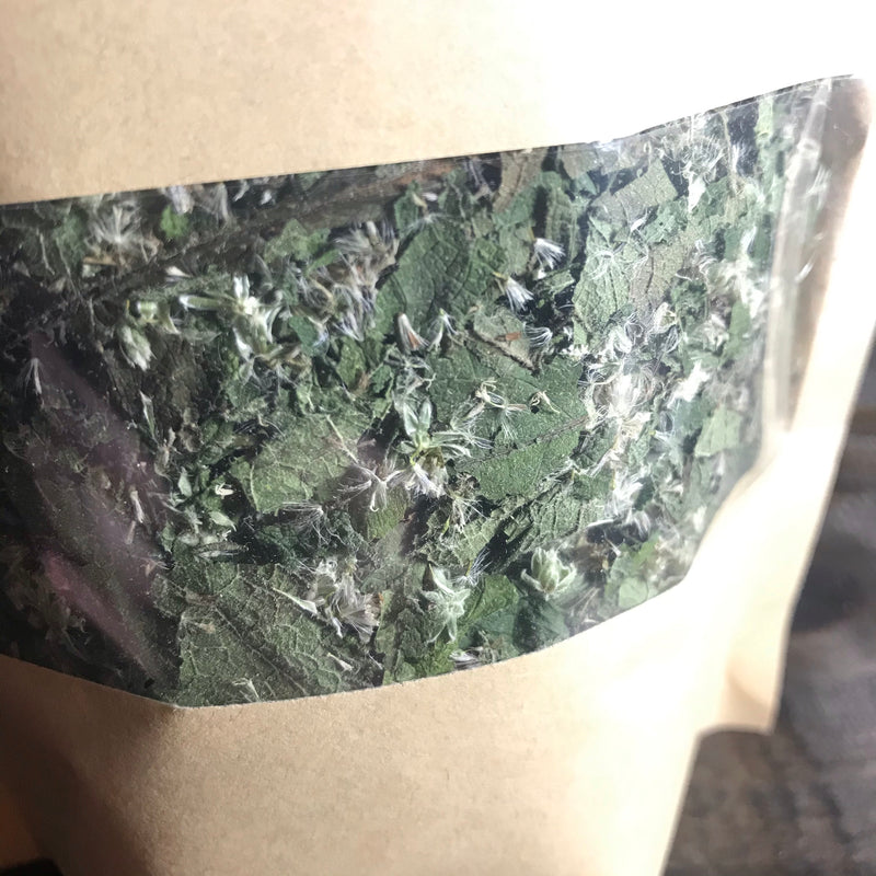 Boneset // dried herb